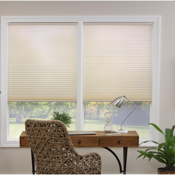 Wayfair blinds hotsell